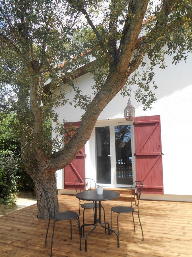 Maysoe Chambres D'Hotes Vieux-Boucau-les-Bains Exteriör bild